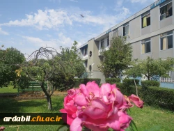 پردیس علامه طباطبایی اردبیل (برادران)