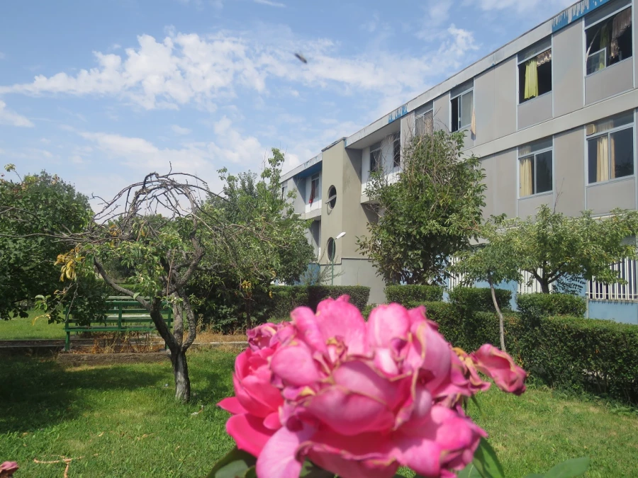 پردیس علامه طباطبایی اردبیل (برادران)