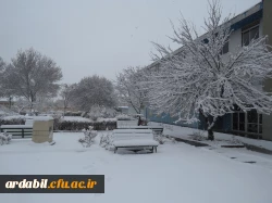 بارش برف 25 بهمن ماه 1396 به روایت تصویر(دانشگاه فرهنگیان اردبیل ) 2