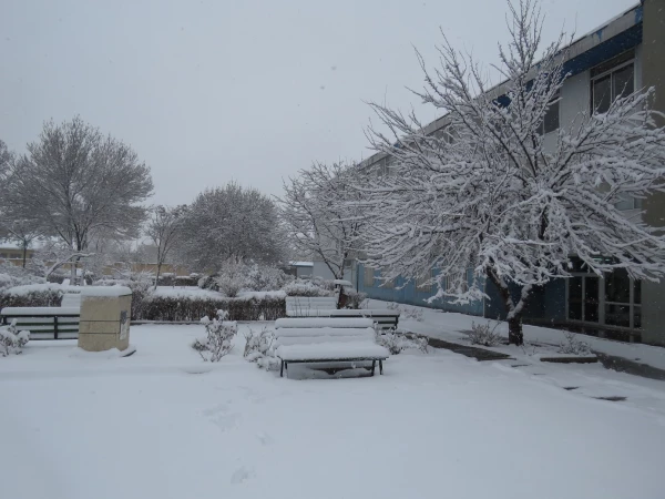 بارش برف 25 بهمن ماه 1396 به روایت تصویر(دانشگاه فرهنگیان اردبیل ) 2