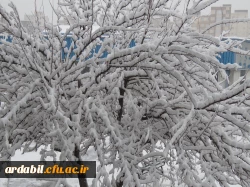 بارش برف 25 بهمن ماه 1396 به روایت تصویر(دانشگاه فرهنگیان اردبیل ) 2