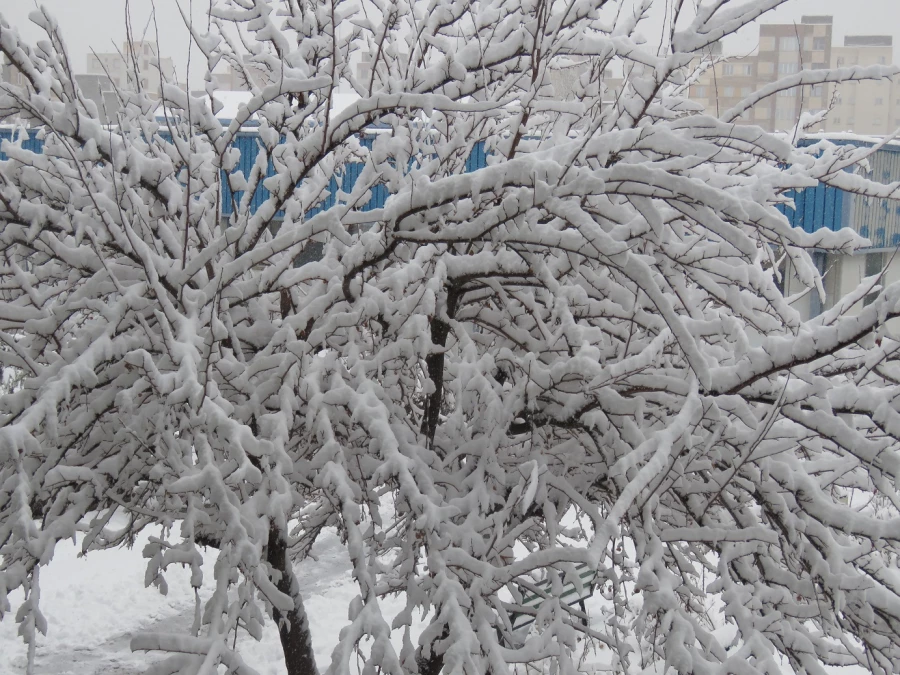 بارش برف 25 بهمن ماه 1396 به روایت تصویر(دانشگاه فرهنگیان اردبیل ) 2