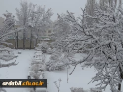 بارش برف 25 بهمن ماه 1396 به روایت تصویر(دانشگاه فرهنگیان اردبیل ) 2