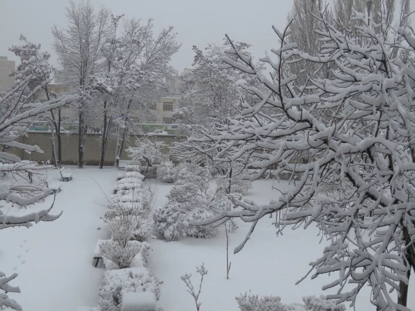 بارش برف 25 بهمن ماه 1396 به روایت تصویر(دانشگاه فرهنگیان اردبیل ) 2