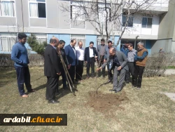 روز درختگاری 2