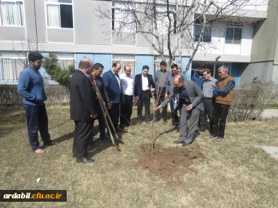 به مناسبت فرا رسیدن روز درختکاری انجام شد:

غرس چند اصله نهال به همت کانون محیط زیست پردیس علامه طباطبایی اردبیل
