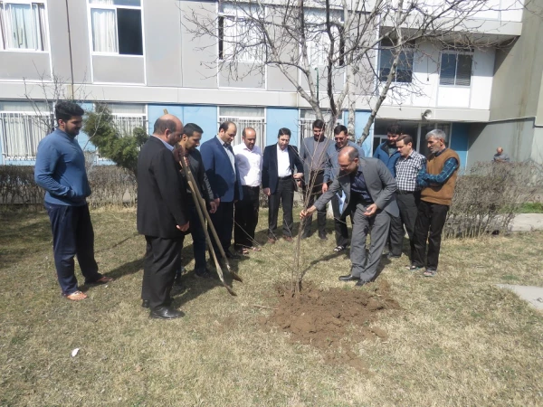 روز درختگاری 2