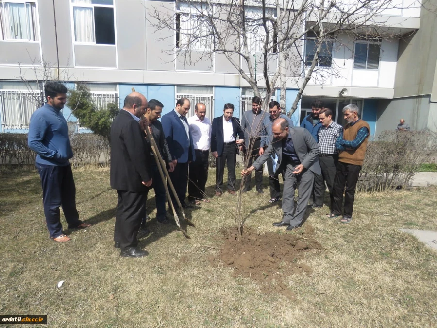 روز درختگاری 2