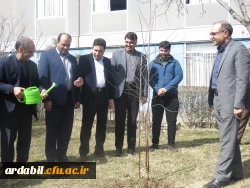 روز درختگاری 4