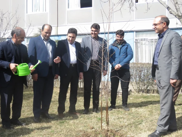 روز درختگاری 4