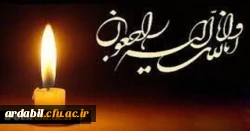 همکار محترم سرکار خانم شهابی 2