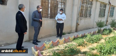 بازدید سرپرست مدیریت امور پردیس های استان اردبیل از مرکز آموزش عالی آزادگان نیر