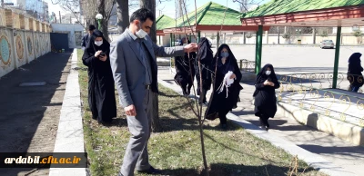 به مناسبت روز درختکاری: 

کاشت نهال در محوطه پردیس بنت الهدی صدر