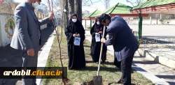 کاشت نهال به مناسبت روز درختکاری