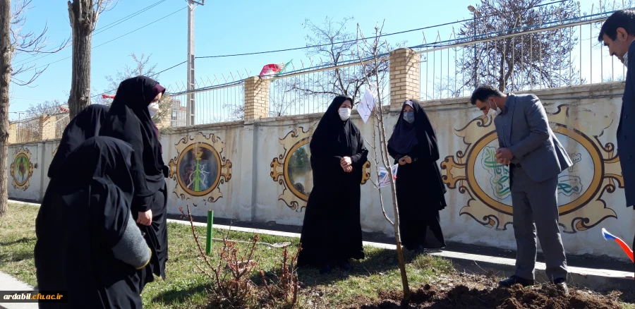 کاشت نهال به مناسبت روز درختکاری