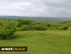  اردوی یک روزه طبیعت گردی دانشجویان مرکز آزادگان نیر