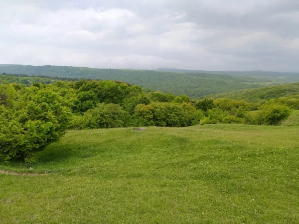  اردوی یک روزه طبیعت گردی دانشجویان مرکز آزادگان نیر