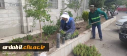  زیباسازی فضای سبز پردیس بنت الهدی صدر