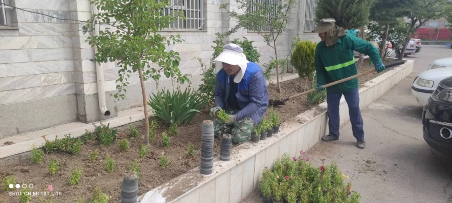  زیباسازی فضای سبز پردیس بنت الهدی صدر