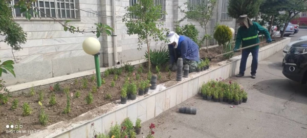  زیباسازی فضای سبز پردیس بنت الهدی صدر