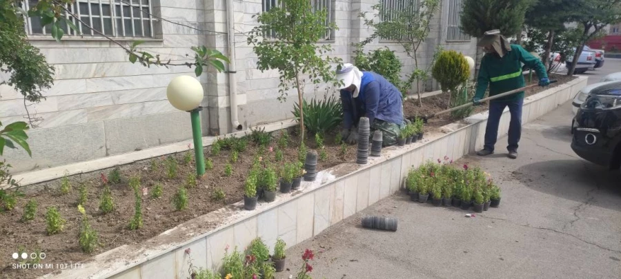  زیباسازی فضای سبز پردیس بنت الهدی صدر