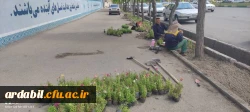  زیباسازی فضای سبز پردیس بنت الهدی صدر