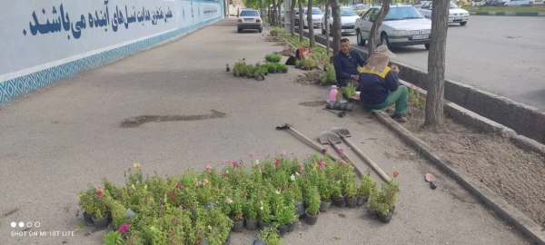  زیباسازی فضای سبز پردیس بنت الهدی صدر