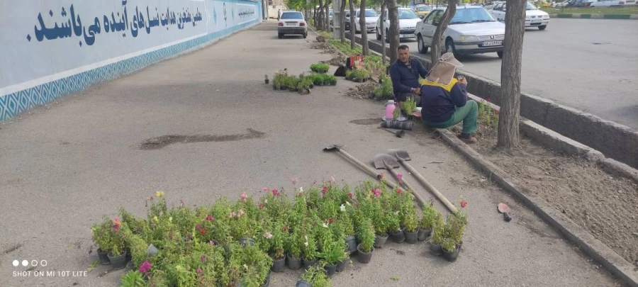  زیباسازی فضای سبز پردیس بنت الهدی صدر