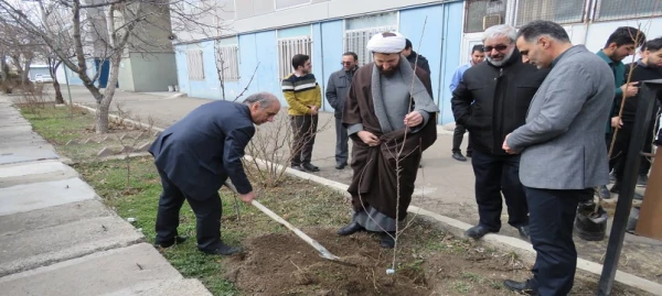 کاشت نهال به مناسبت روز درختکاری