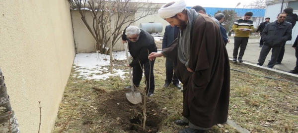 کاشت نهال به مناسبت روز درختکاری