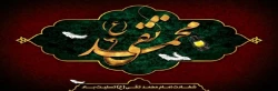شهادت امام محمد تقی (ع) تسلیت باد.